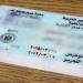 لاستخراج رخصة قيادة 2025.. الأوراق المطلوبة والشروط - موقع الآن نيوز