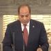 عاجل.. الرئيس السيسي: حل الدولتين هو المسار الذي سيسمح بإنهاء الصراع في الشرق الأوسط - موقع الآن نيوز