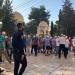 عشرات المستوطنين يقتحمون باحات المسجد الأقصى تحت حماية شرطة الاحتلال - موقع الآن نيوز
