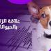 لو شفت الحيوان بيعمل كده اهرب فورًا.. تصرفاتهم ممكن تنقذك من الزلزال ـ موقع الآن نيوز