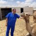 بحوث الصحراء يطلق قافلة بيطرية لتحسين صحة الثروة الحيوانية بالشيخ زويد ورفح ـ موقع الآن نيوز