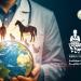 المهن الطبية: البيطريين أحد الركائز الأساسية في منظومة الصحة الواحدة ـ موقع الآن نيوز