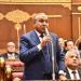 نائب: الرئيس السيسي ينادي بجذب المستثمرين الدوليين ولابد من تحفيزهم ـ موقع الآن نيوز