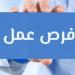 135 فرصة عمل.. آخر موعد للتقديم على وظائف الصيدليات المقدمة من وزارة العمل ـ موقع الآن نيوز