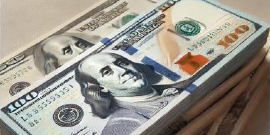 سعر الدولار اليوم الخميس 26-12-2024 أمام الجنيه المصرى فى البنك الأهلى المصرى - الآن نيوز