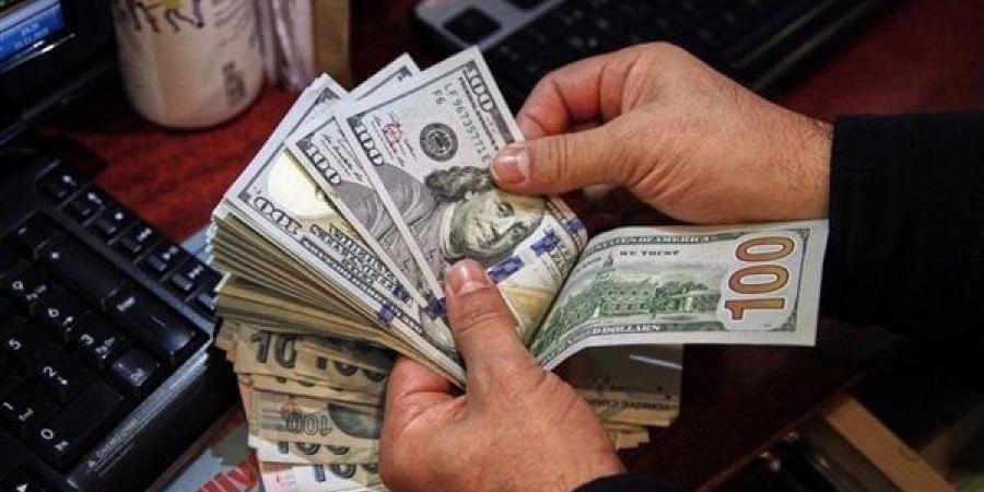 سعر الدولار مقابل الجنيه في البنك المركزي اليوم الخميس 26-12-2024 - الآن نيوز