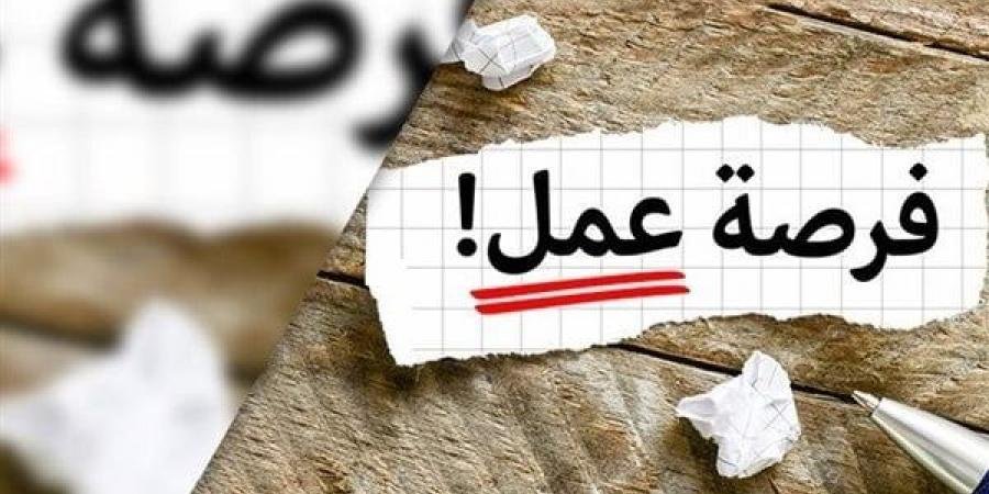 براتب 6000 جنيه.. وزارة العمل توفر فرص عمل للشباب - الآن نيوز