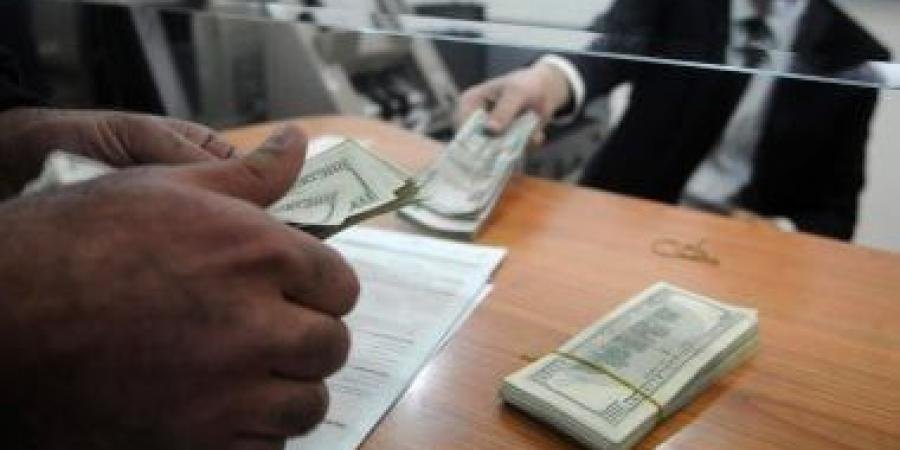 استقرار سعر الدولار اليوم السبت 11-1- 2025 أمام الجنيه المصرى - الآن نيوز