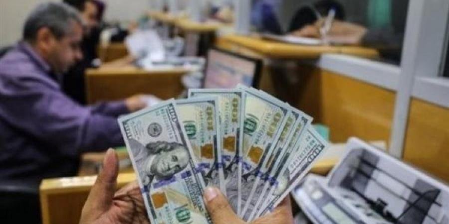 آخر تحديث لـ سعر الدولار مقابل الجنيه المصري اليوم الأحد 12 يناير 2025 - الآن نيوز