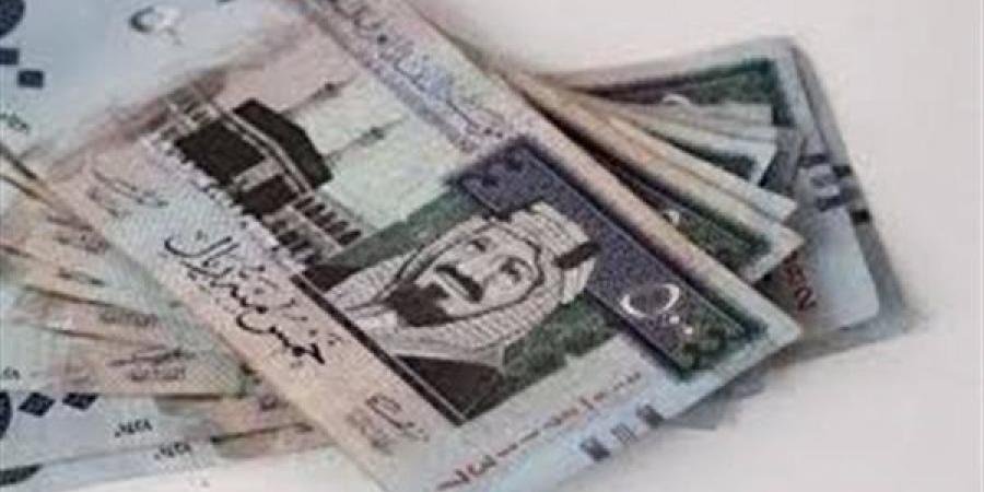 سعر الريال السعودي اليوم الأحد 19 يناير 2025 في مصر - الآن نيوز