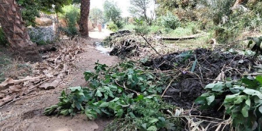 سكان جزيرة الكروم يستغيثون: مخلفات تطهير ترعة تغلق طريقهم الوحيد - موقع الآن نيوز