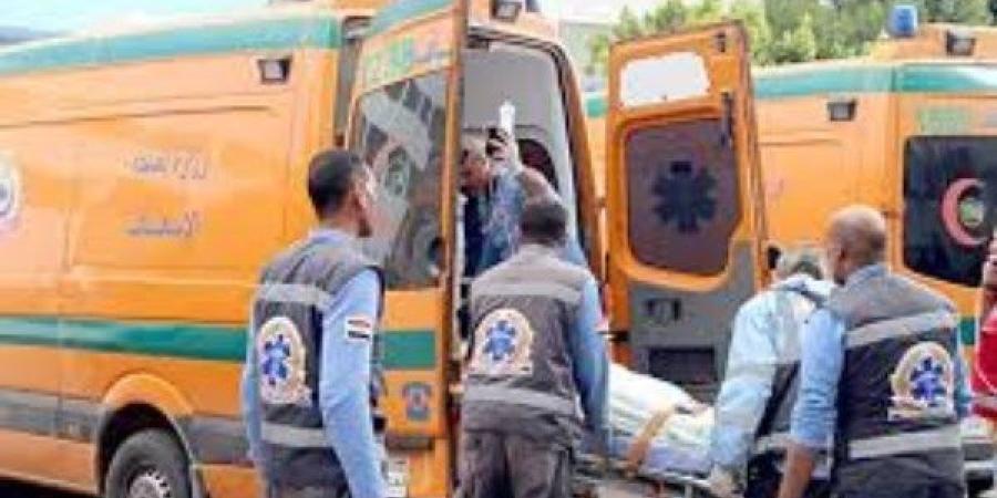 انقلاب ميكروباص وإصابة 9 أشخاص أعلى دائري الوراق ـ موقع الآن نيوز