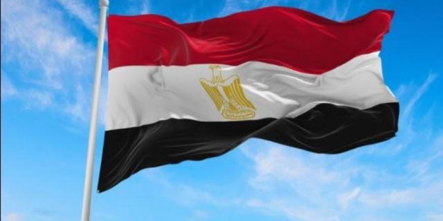 غباشي: مصر تبنّت موقفًا شجاعًا تجاه الحظر النووي منذ 1994.. فيديو ـ موقع الآن نيوز