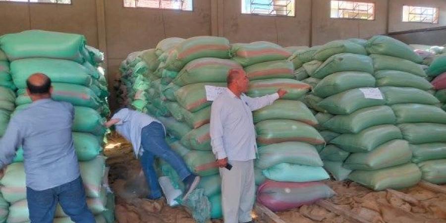 محافظ المنيا: توريد 111 ألفا و229 طن قمح بالشون والصوامع ـ موقع الآن نيوز