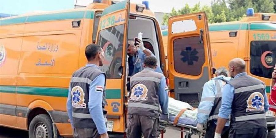بالأسماء.. إصابة 7 في حادث تصادم سيارتين بزراعى المنيا - موقع الآن نيوز