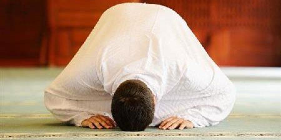 هل الصلاة بقراءة الفاتحة فقط صحيحة؟.. الإفتاء توضح الحكم ـ موقع الآن نيوز