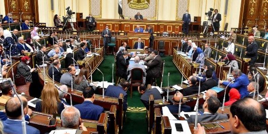 طلب مناقشة عامة لاستيضاح رؤية الحكومة في تكليف خريجي الصيدلة وطب الأسنان ـ موقع الآن نيوز