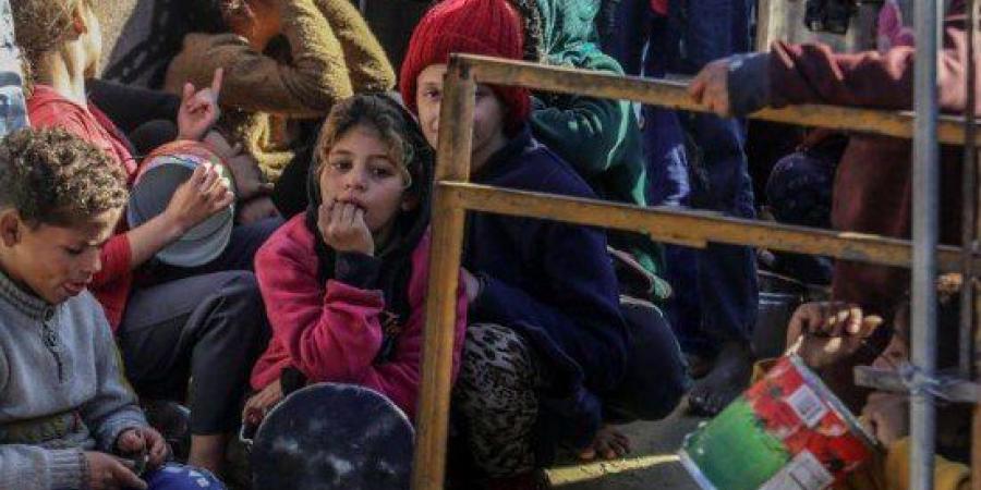 الشوا: ارتفاع سوء التغذية يهدد حياة الأطفال في غزة - موقع الآن نيوز