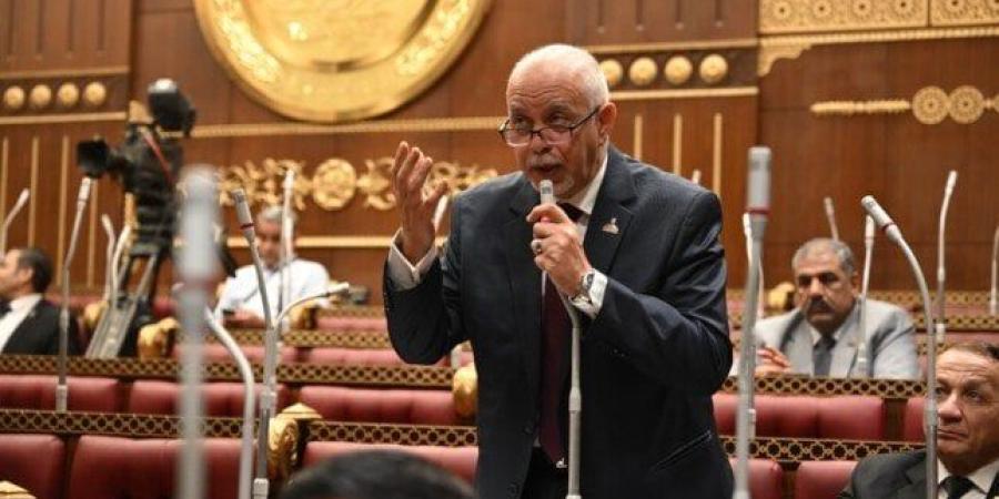 النائب حازم الجندي يطالب برعاية وتبني النشء المتميزين في الأمن السيبراني - موقع الآن نيوز