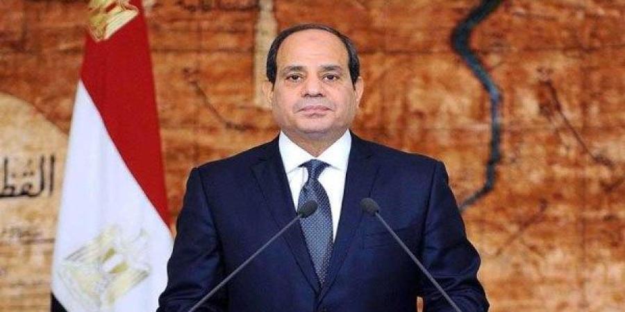 حزب المصريين: الرئيس السيسي حريص على تعزيز الشراكة الاستراتيجية مع دول العالم ـ موقع الآن نيوز