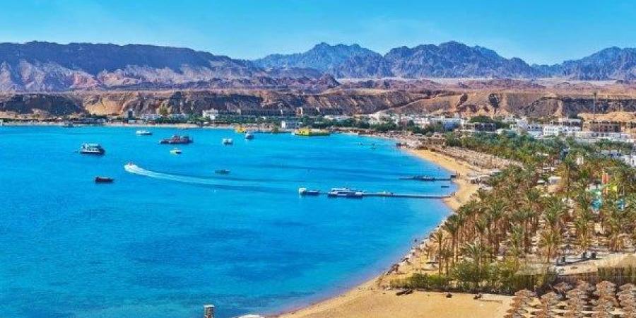 الغرف السياحية تكشف فوائد التأشيرة الإلكترونية ـ موقع الآن نيوز
