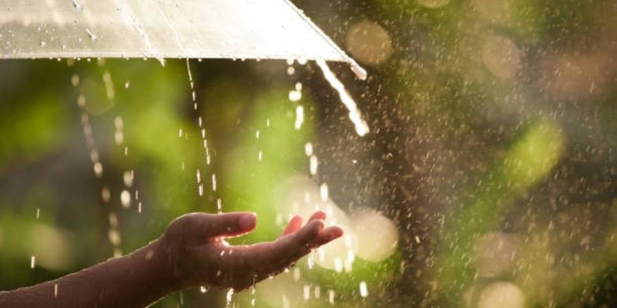 حالة الطقس.. أمطار رعدية متباينة الشدة على أجزاء من 9 مناطق - موقع الآن نيوز