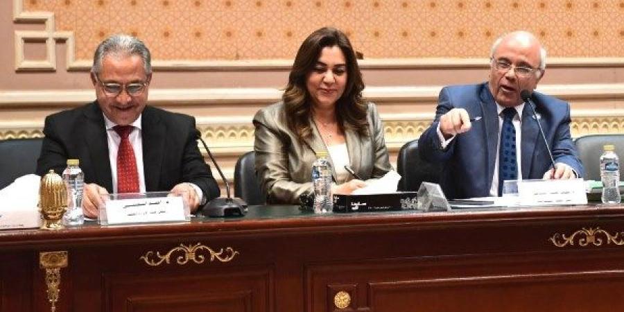 السجينى ينتقد غياب رئيس جهاز التعبئة والإحصاء عن مناقشات قانون الإيجار القديم ـ موقع الآن نيوز
