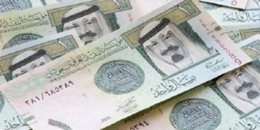 سعر الريال السعودي مقابل الجنيه اليوم الإثنين 5 مايو 2025 - موقع الآن نيوز