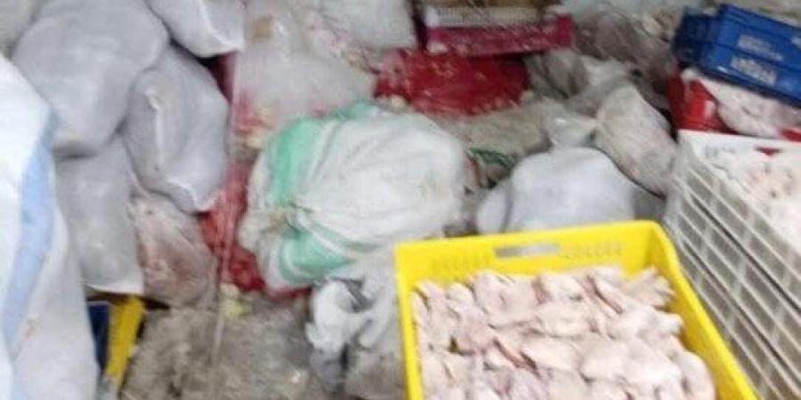 كارثة غذائية بالقليوبية.. ضبط 12 طن دواجن فاسدة تُعاد تدويرها وبيعها للمواطنين - موقع الآن نيوز