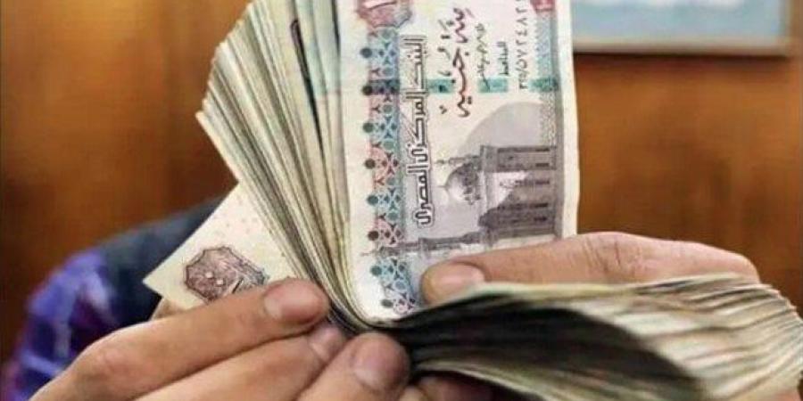 رابط وخطوات الاستعلام عن منحة العمالة غير المنتظمة 2025 - موقع الآن نيوز