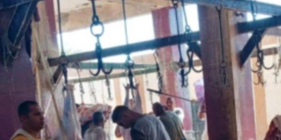 استعدادا لعيد الأضحى.. تجهيز 13 مجزرا بأسوان للحوم الأضاحي ـ موقع الآن نيوز