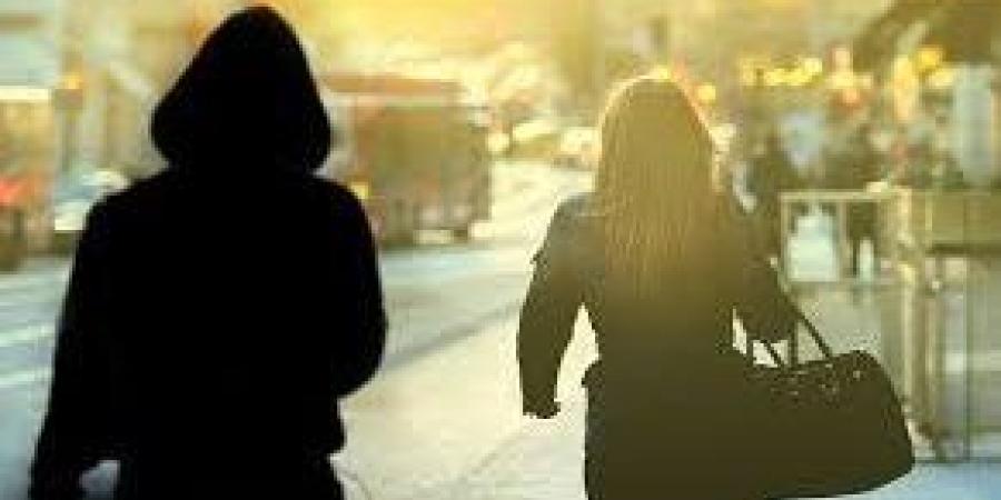 تفريغ كاميرات المراقبة لكشف ملابسات تحرش سايس بسيدة في الجيزة ـ موقع الآن نيوز