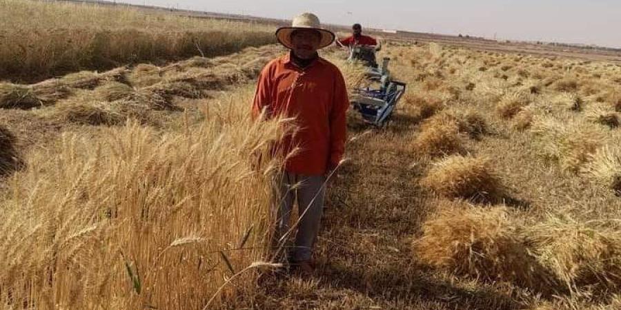 أعطيت الزكاة للفقير ثم اشتريتها منه فهل يجوز؟ دار الإفتاء تجيب ـ موقع الآن نيوز