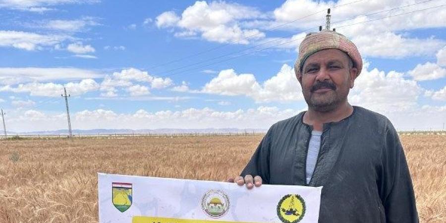 الزراعة: توفير المعدات اللازمة لحصاد القمح والشعير بشمال وجنوب سيناء ـ موقع الآن نيوز