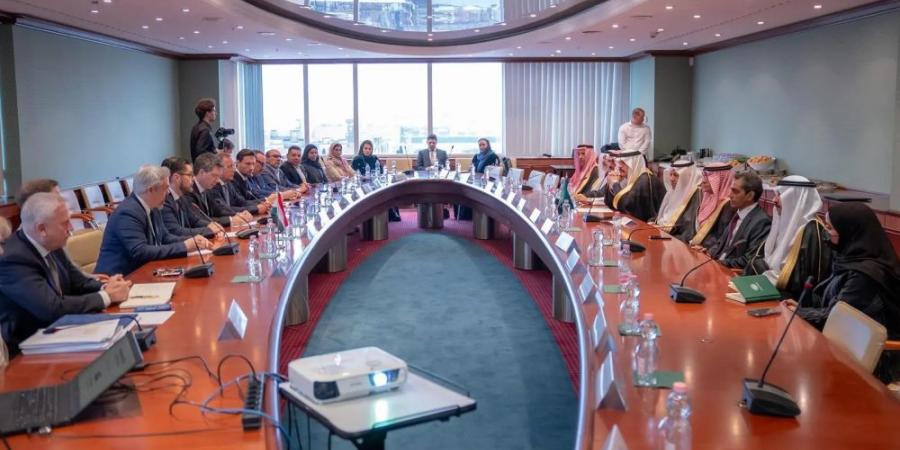 السعودية والمجر.. مناقشة تفعيل مجلس الأعمال لتيسير التعاون التجاري والاستثماري - موقع الآن نيوز