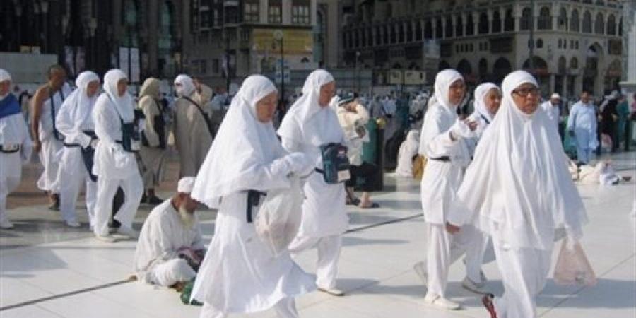 حكم حج الحامل والمرضع.. دار الإفتاء تجيب ـ موقع الآن نيوز