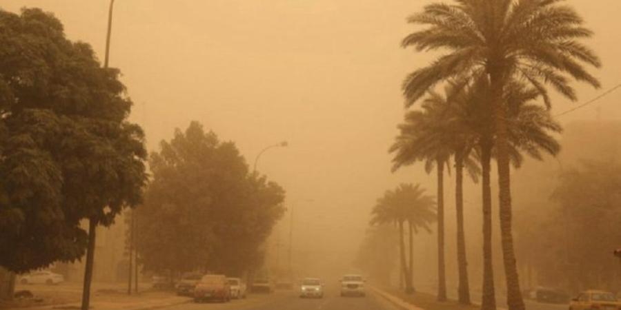 حالة الطقس.. استمرار الرياح النشطة المثيرة للأتربة والغبار - موقع الآن نيوز