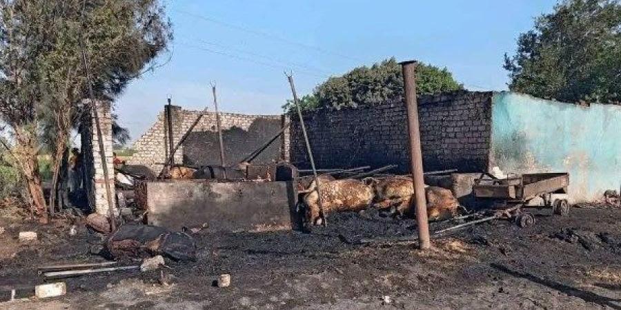نفوق 12 رأس ماشية فى حريق حظيرة مواشي بطوخ ـ موقع الآن نيوز