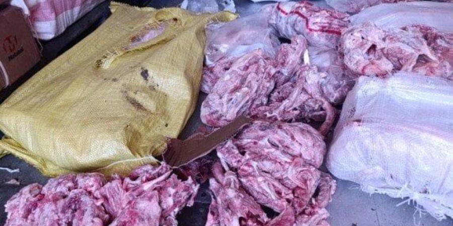 كارثة بالخانكة.. ضبط 10 أطنان هياكل دواجن مجهولة المصدر داخل مصنع لحوم - موقع الآن نيوز