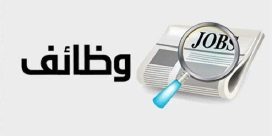 برواتب تتخطى الـ 80 ألف جنيه.. «العمل» تعلن عن توفر عمل للمصريين بالسعودية - موقع الآن نيوز