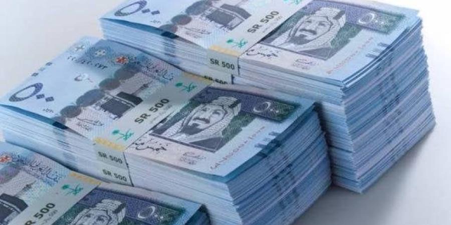 مع اقتراب موسم الحج.. سعر الريال السعودي مقابل الجنيه المصري اليوم الخميس 15 مايو 2025 - موقع الآن نيوز