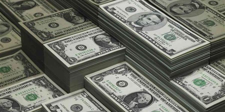 الأخضر بكامِ النهاردة؟.. سعر الدولار مقابل الجنيه المصري اليوم الجمعة 16 مايو 2025 - موقع الآن نيوز