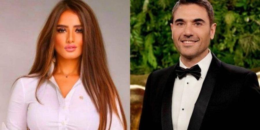 موعد أولى جلسات استئناف زينة على حكم إلزام أحمد عز بدفع 80 ألف جنيه شهريا - موقع الآن نيوز