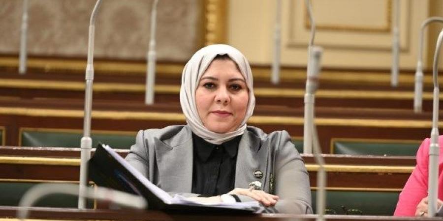برلمانية: كلمة الرئيس السيسي في قمة بغداد كاشفة للتحديات العربية ـ موقع الآن نيوز