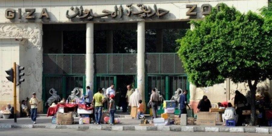 مع اقتراب الانتهاء من تطويرها.. موعد افتتاح حديقة الحيوان بالجيزة رسمياً - موقع الآن نيوز