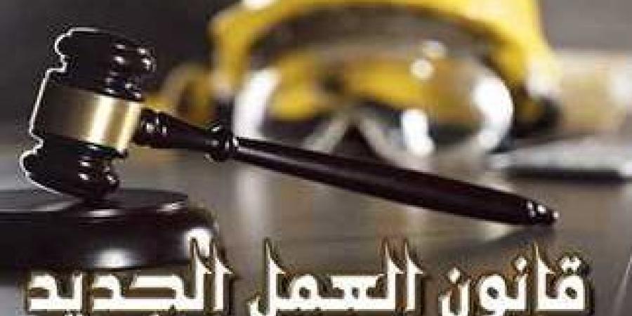 قانون العمل ينظم التشغيل بالداخل والخارج ويمنع استغلال الباحثين عن فرص العمل ـ موقع الآن نيوز
