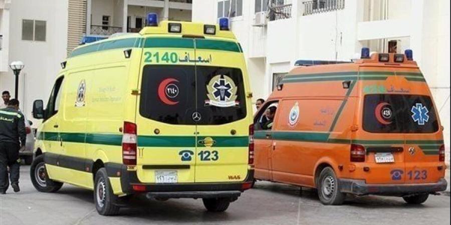 إصابة 6 أشخاص في حادث انقلاب ميكروباص بطريق أسيوط الصحراوي الغربي في الفيوم - موقع الآن نيوز