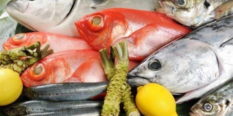 أسعار الأسماك والجمبري اليوم الإثنين 19 مايو 2025 - موقع الآن نيوز