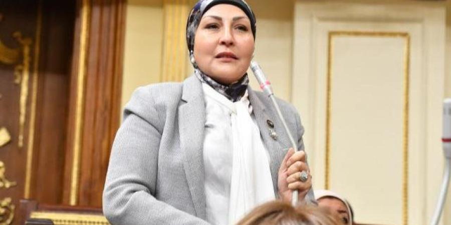 برلماني: توجيهات الرئيس للاستثمار تتطلب "ترجمة حكومية عاجلة" لإزالة العقبات ـ موقع الآن نيوز