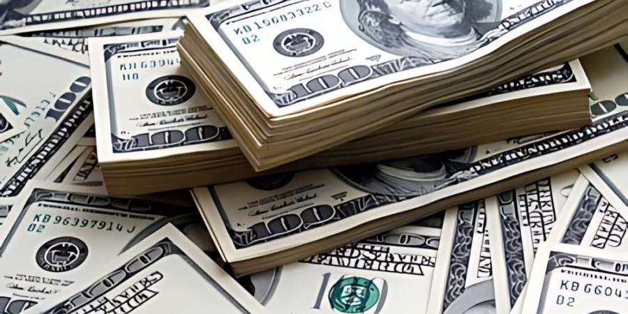 سعر الدولار اليوم مقابل الجنيه.. انخفاض في البنوك المصرية - موقع الآن نيوز